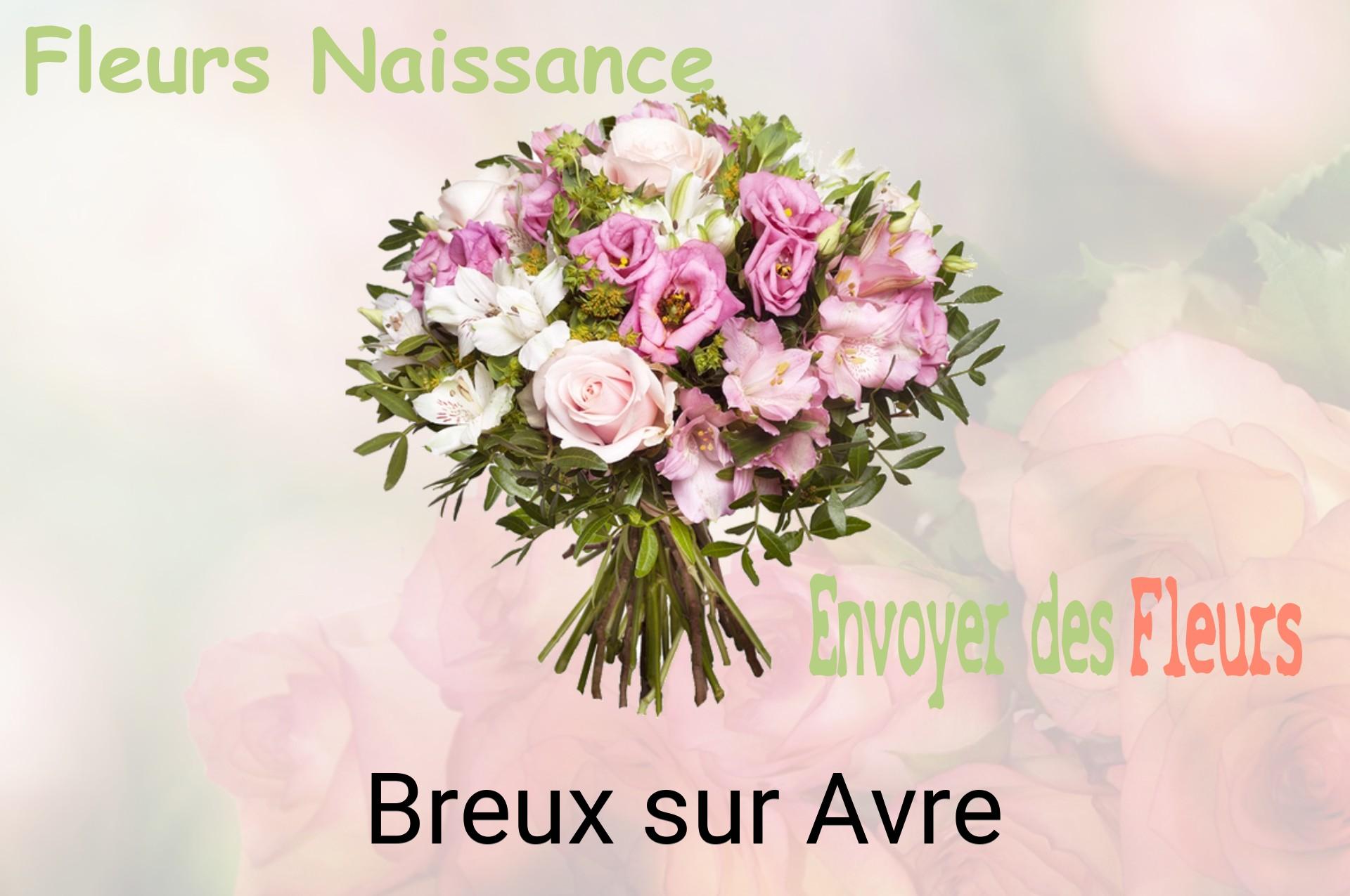 Bouquet de fleurs de naissance livré à Breux-sur-Avre